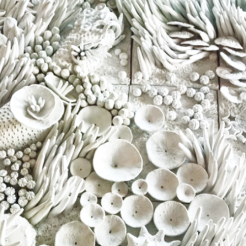 3D-Printed Seashell swatch
